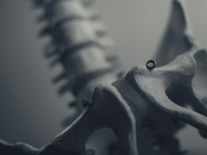 Lantionpohja (5 luennon kokoelma)